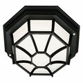 Trans Globe One Light Black Frosted Spider Web Octagon Glass Outdoor Flush Mount 40581 BK